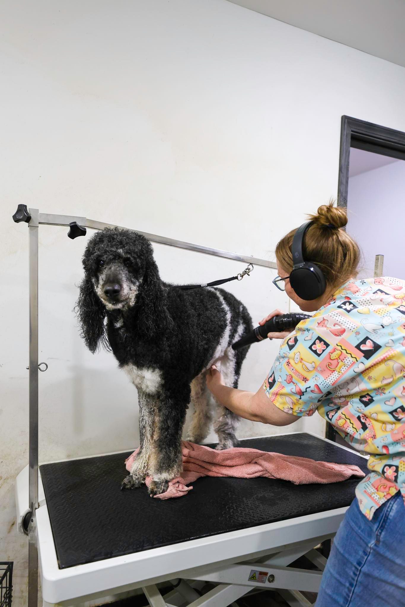 Sandee Estes, Groomer at Buckeye K9