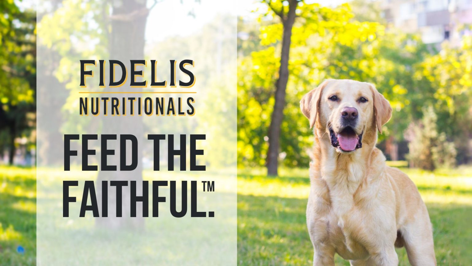 Fidelis Dog Food Bag