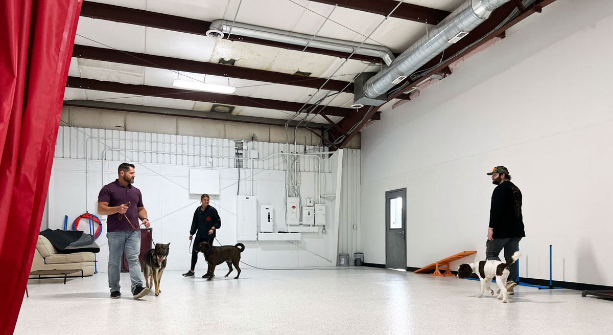 Obedience Training