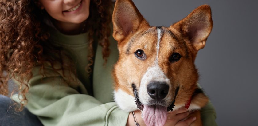 Lifetime Dog Training