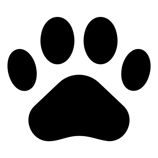 Comfortable Boarding Icon