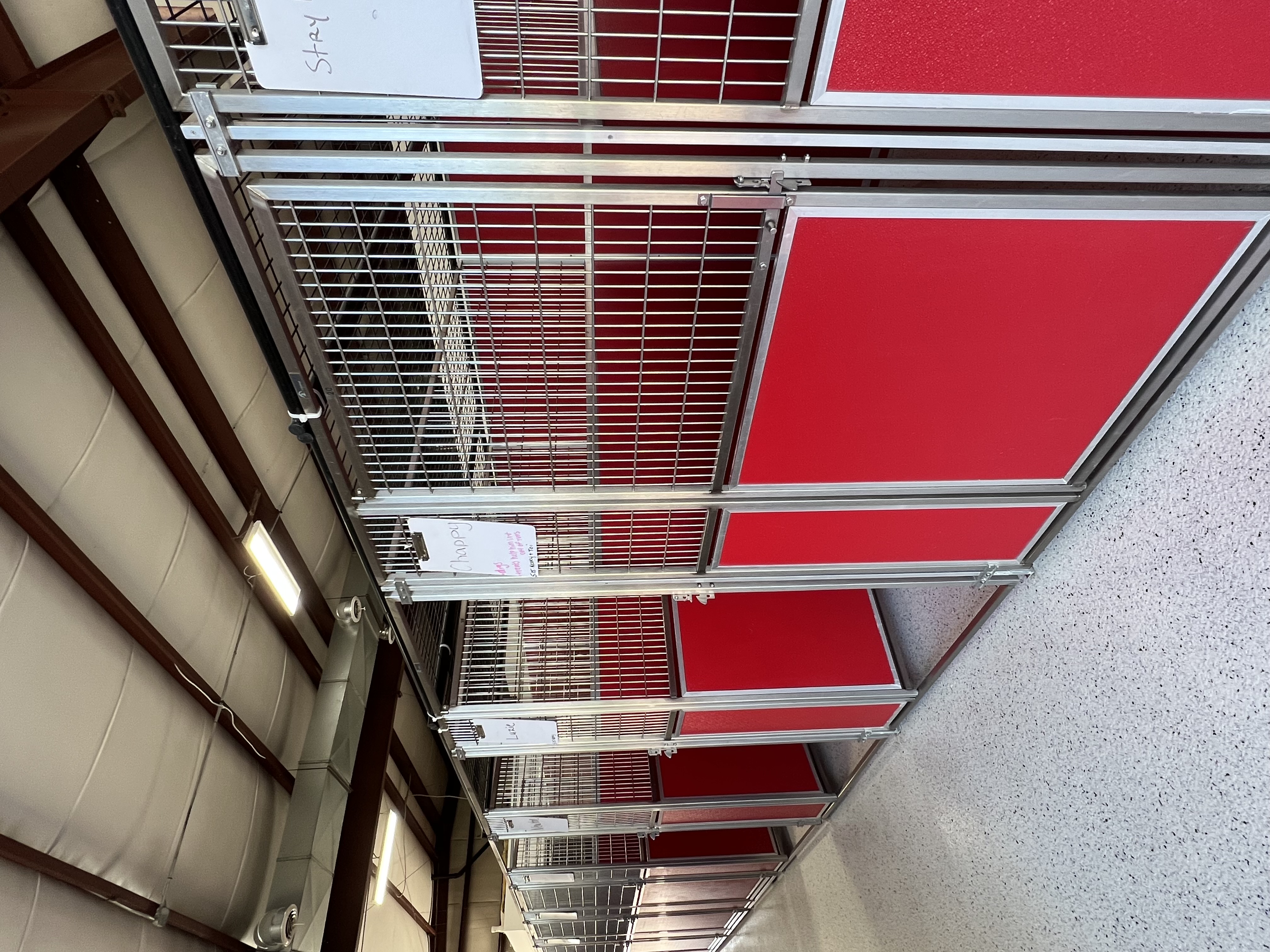 Comfortable Kennels